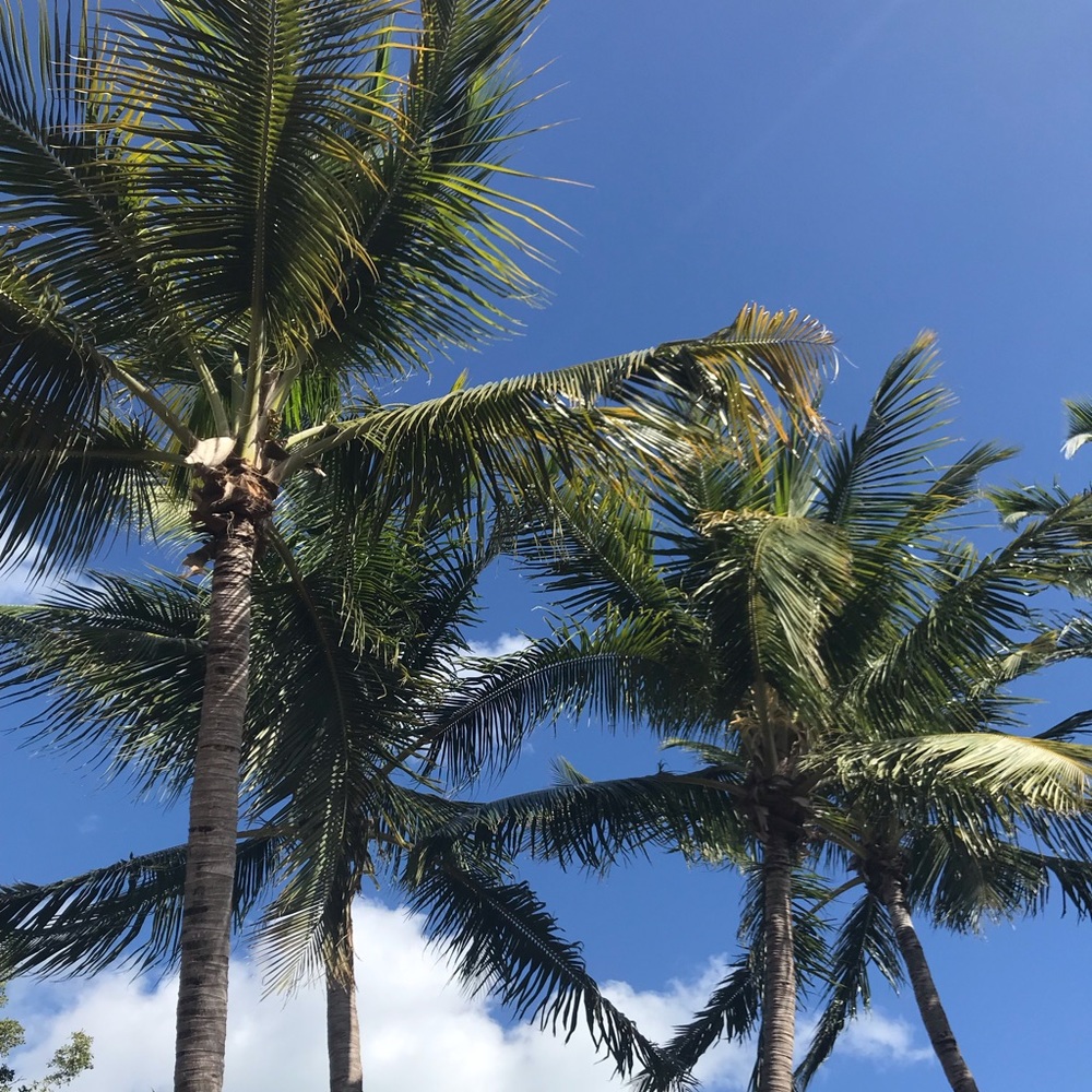 Meet your Posher, Jolena